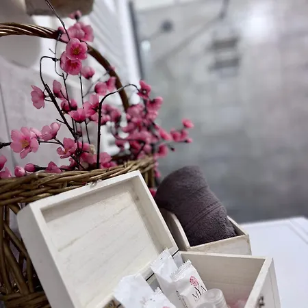 Ama Esclusive * Μπολόνια